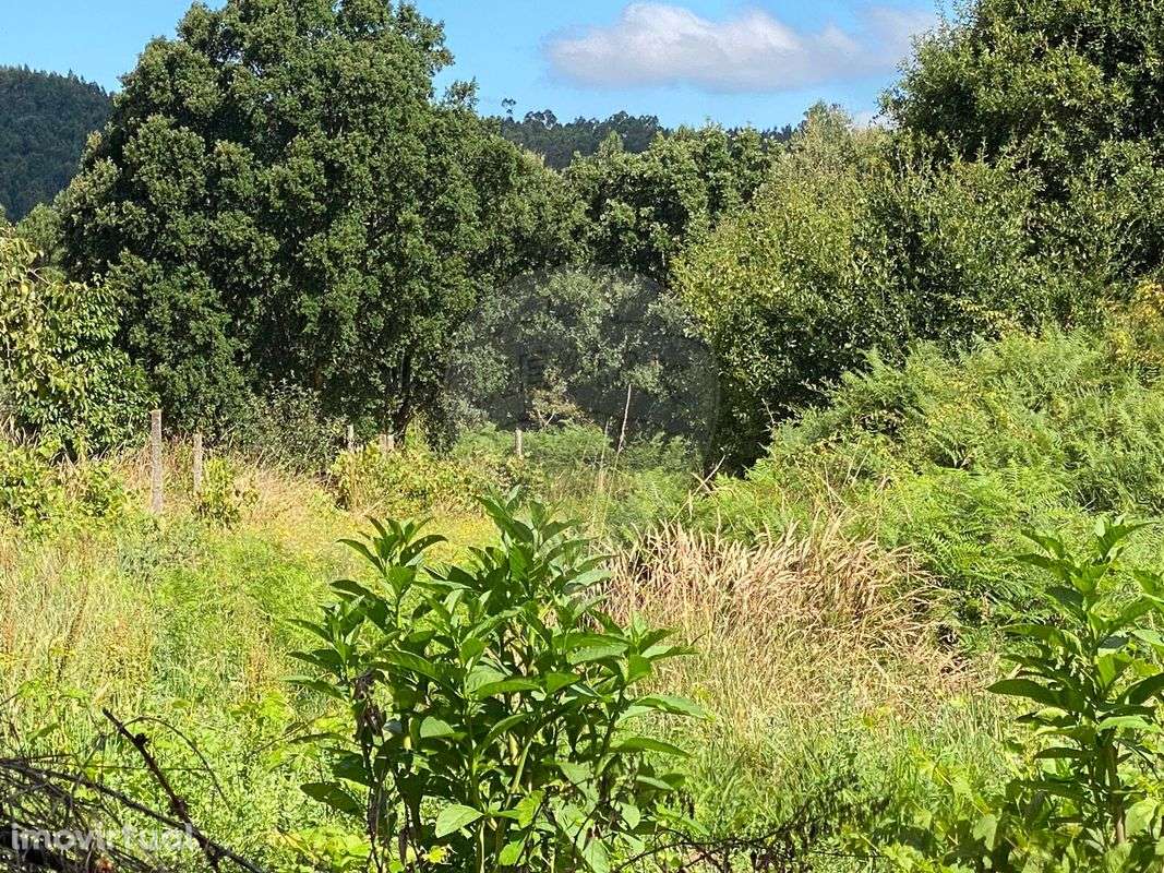 Terreno  para venda - Grande imagem: 2/10