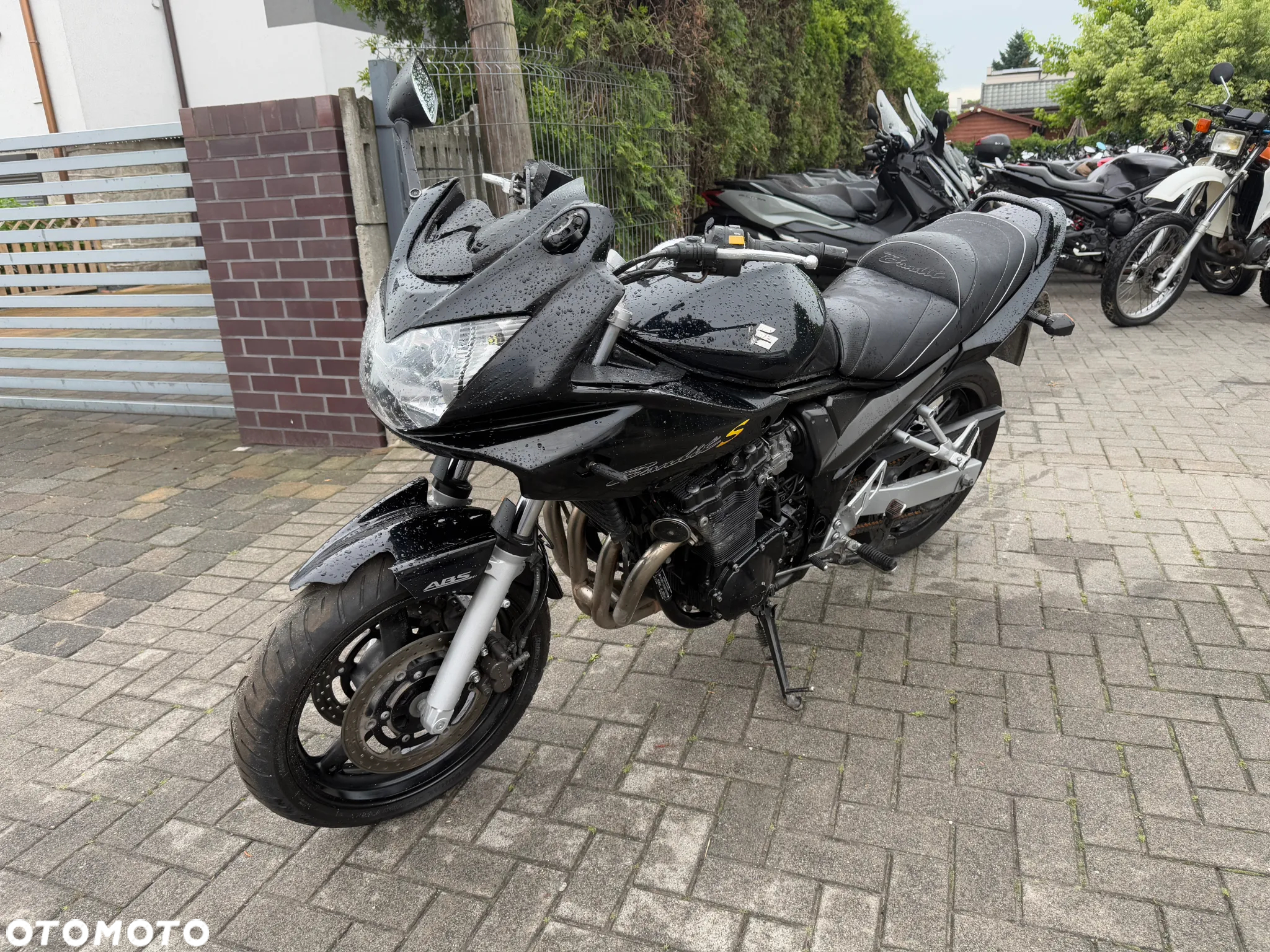 Suzuki Bandit - 3