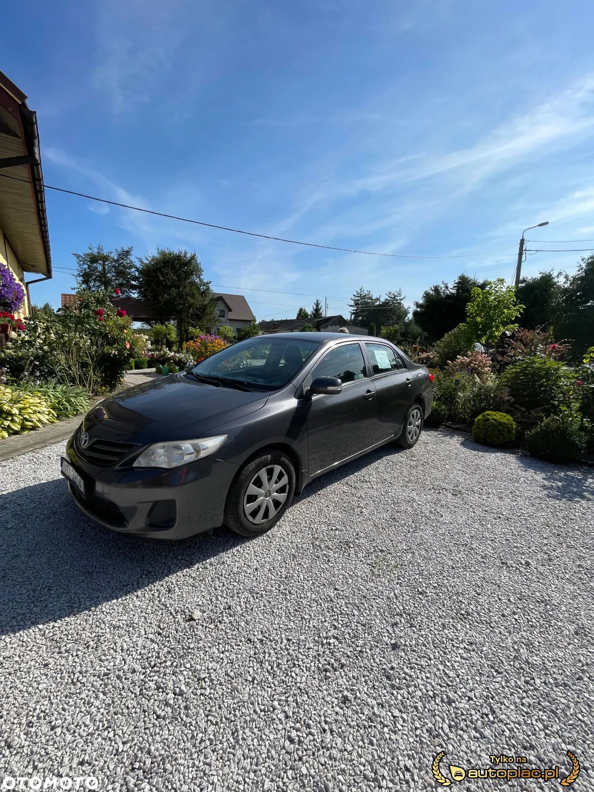Toyota Corolla - 1