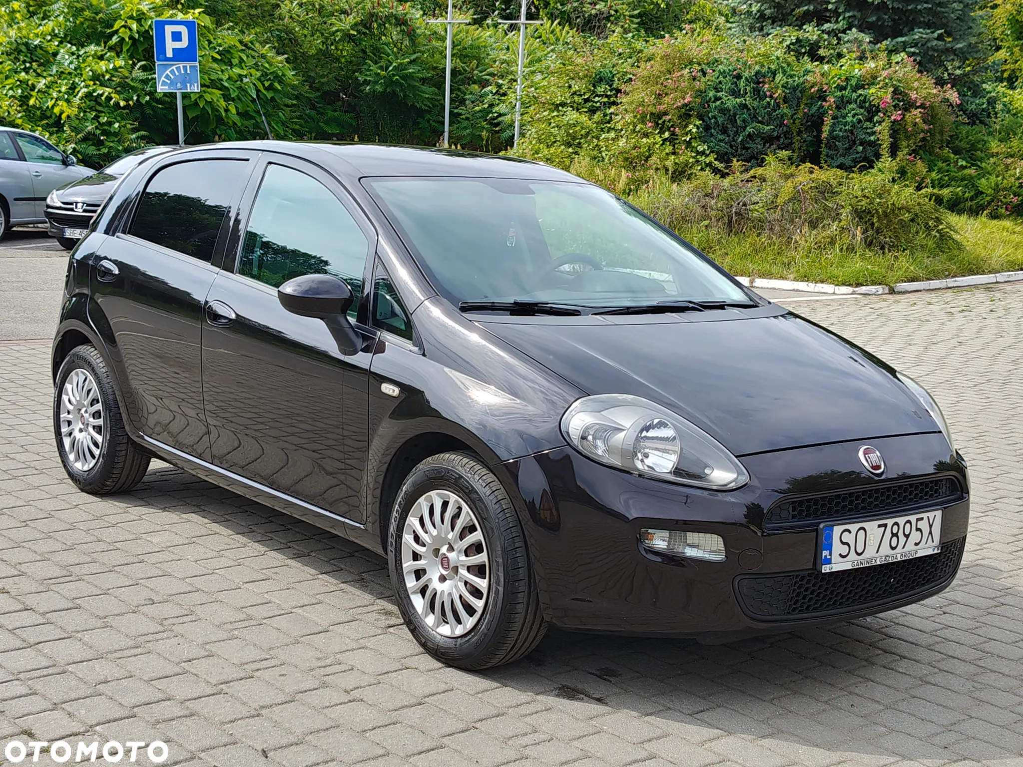 Fiat Punto Evo 1.2 8V Dynamic Start&Stop - 12