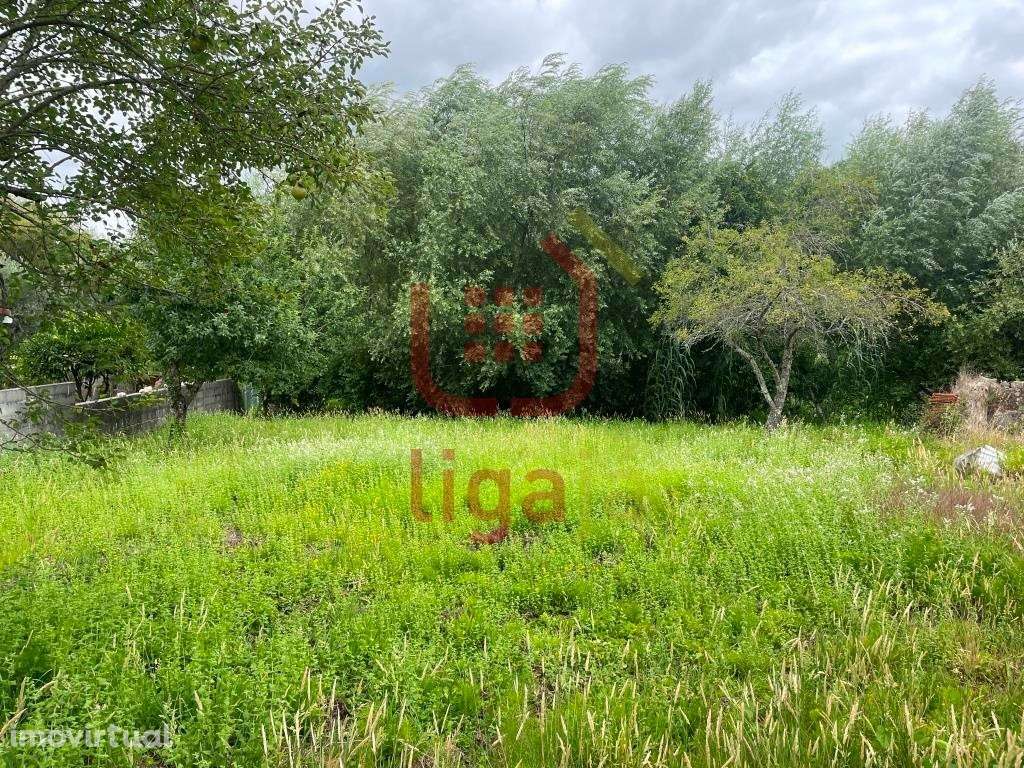 Casa em Ruinas com Terreno - Ourém! - Grande imagem: 5/6