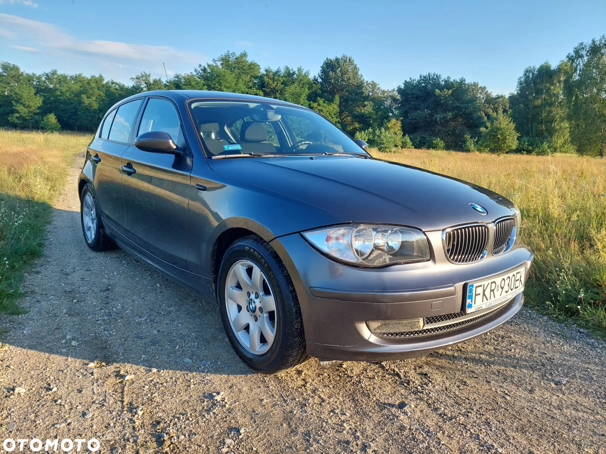 BMW Seria 1 116i - 3