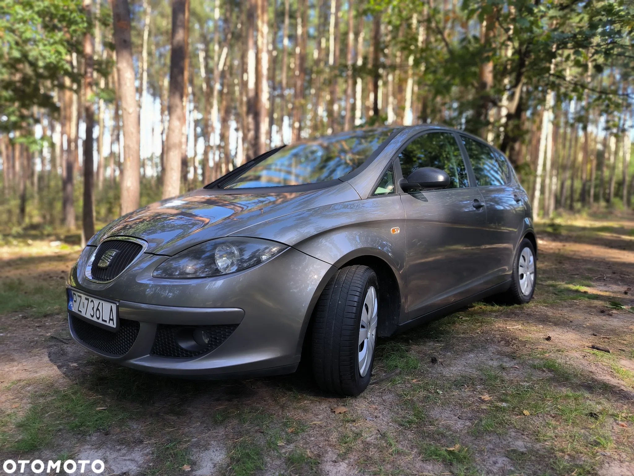 Seat Altea - 2