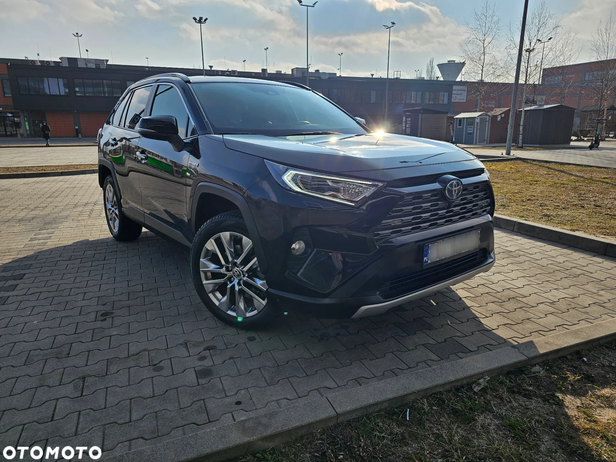 Toyota RAV4 2.5 Hybrid Executive 4x4 - 6