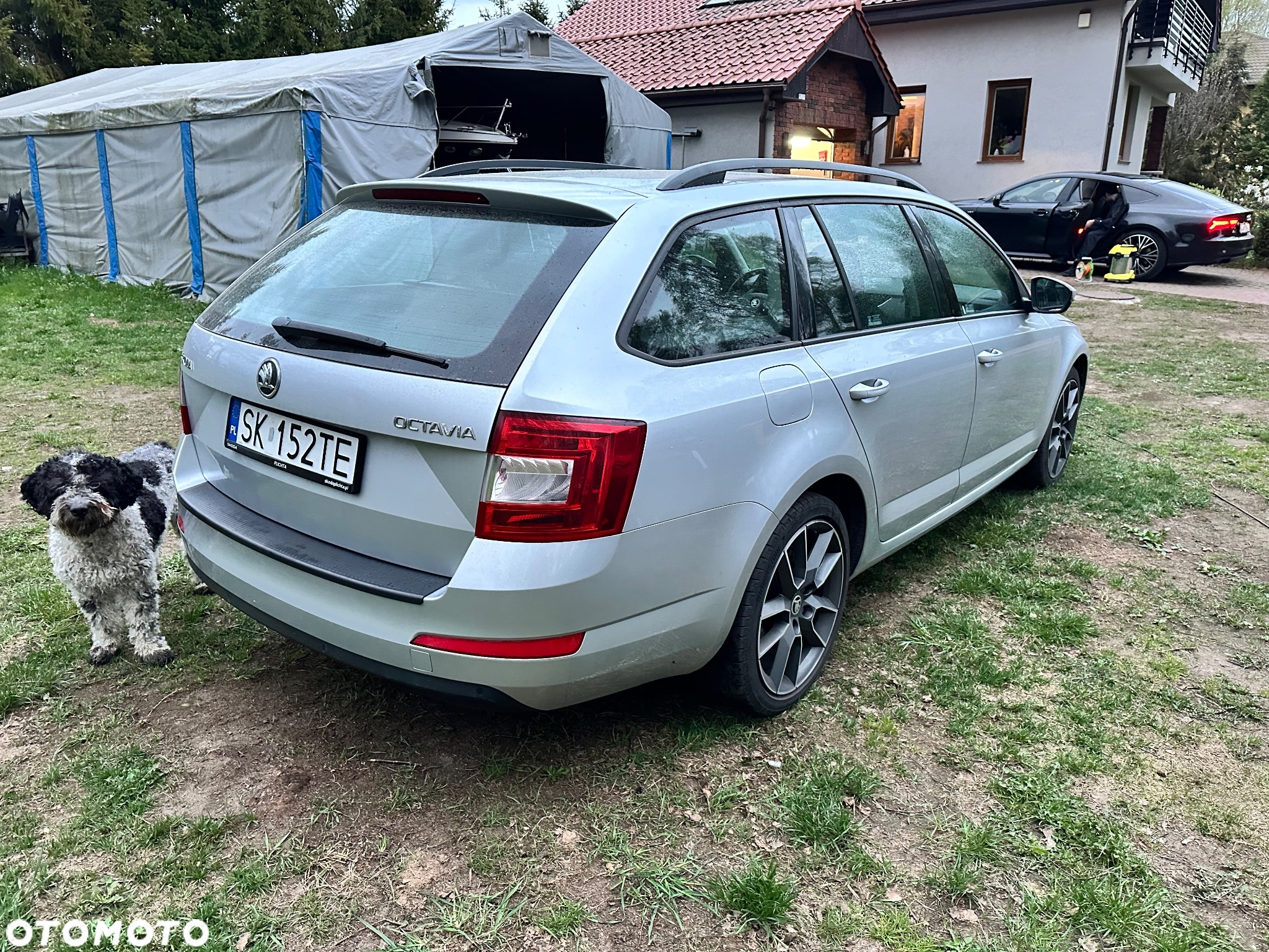 Skoda Octavia 2.0 TDI Elegance - 6