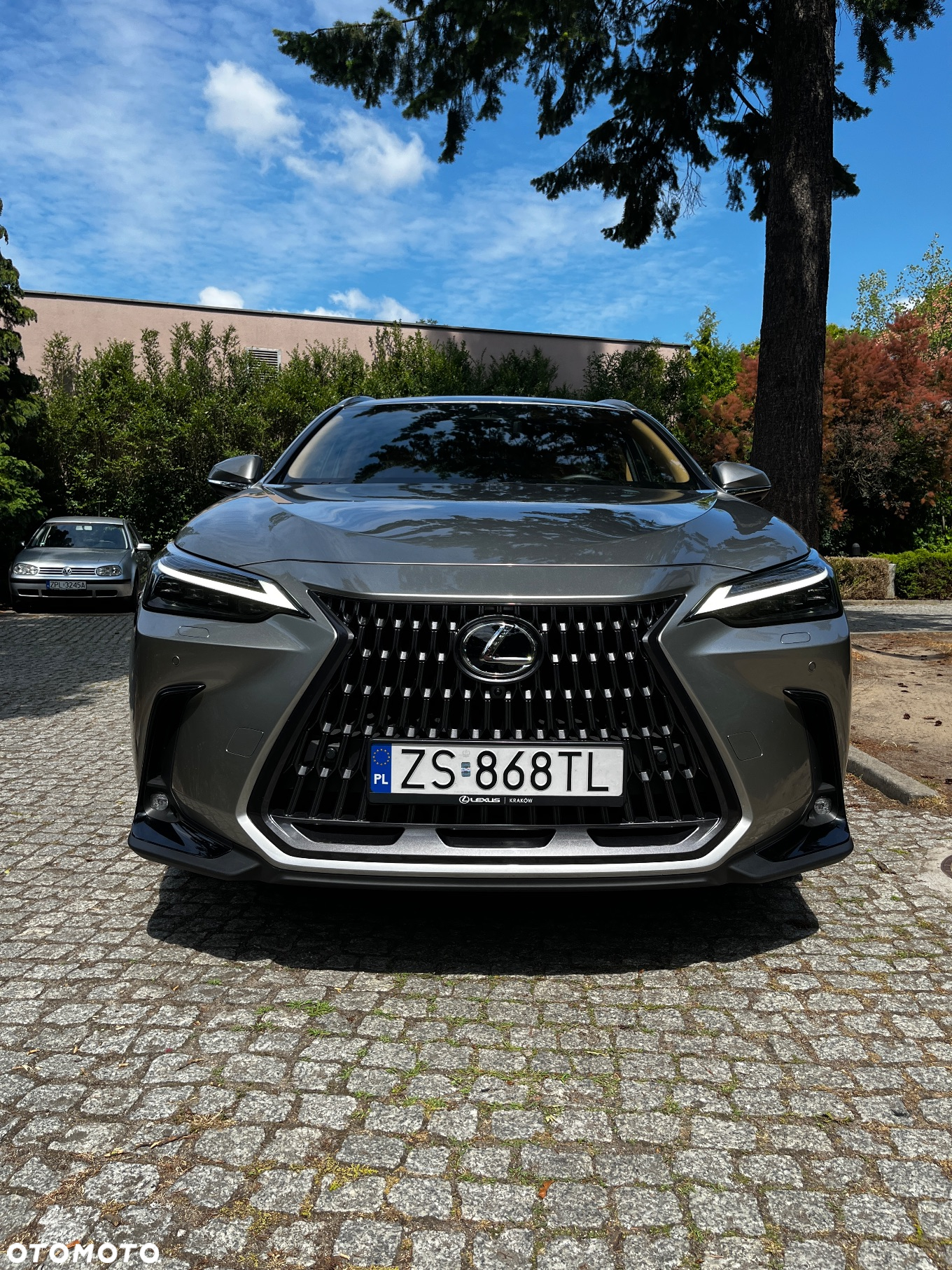 Lexus NX 350h Omotenashi AWD - 8