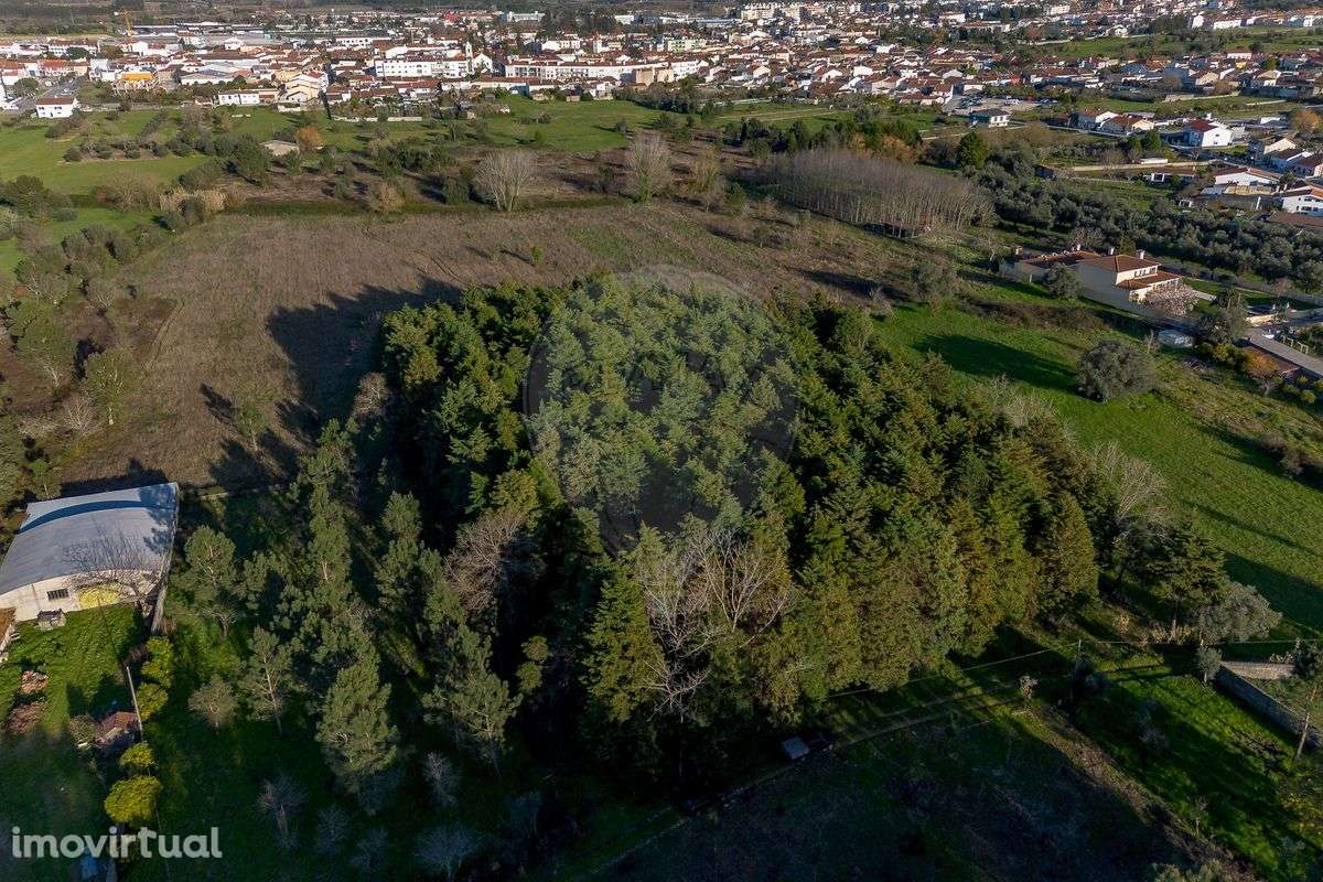 Terreno  para venda - Grande imagem: 2/13