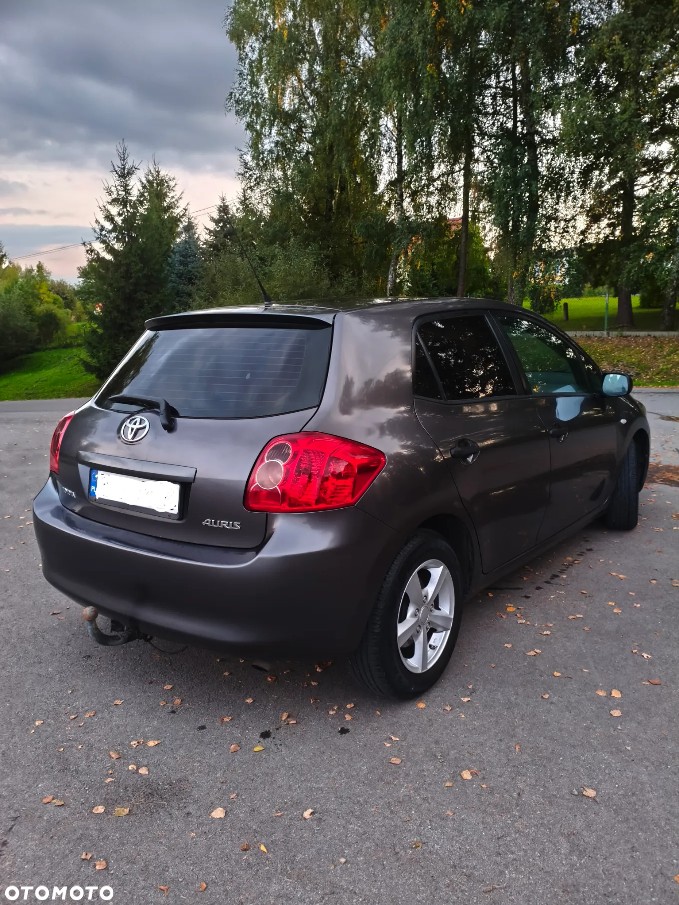 Toyota Auris 1.4 VVT-i Terra - 6