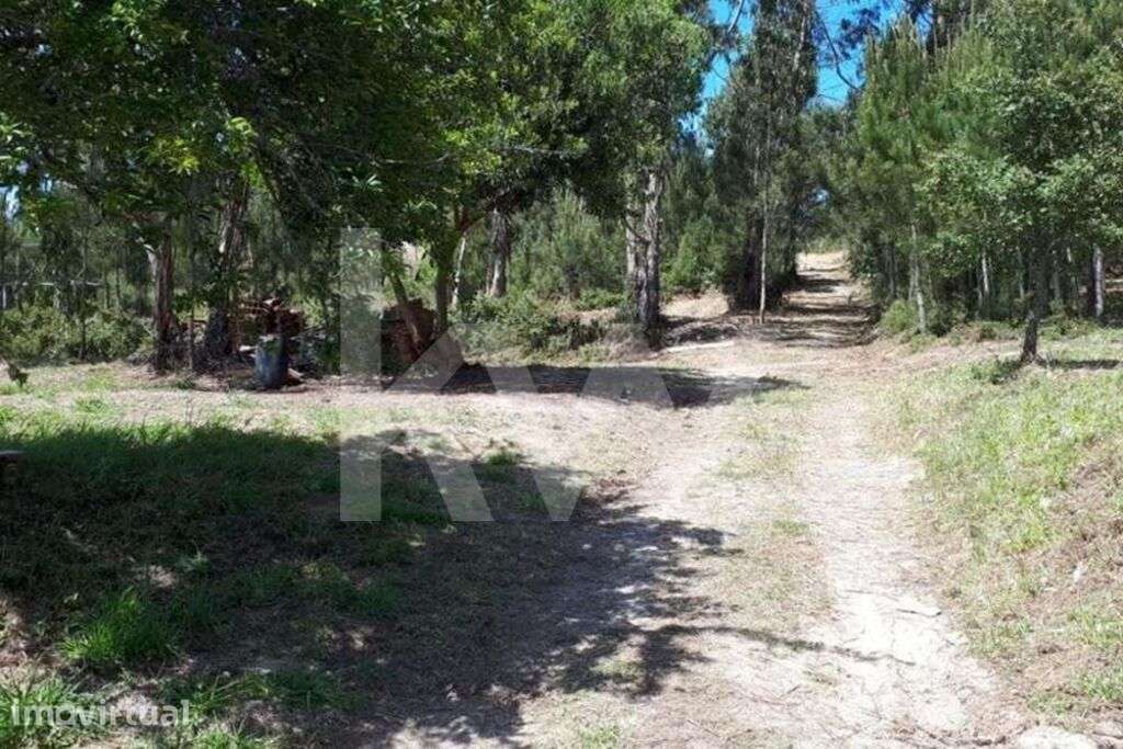 Terreno junto ao Belas Clube de Campo na Tapada de Vale de Lobos - Grande imagem: 2/9