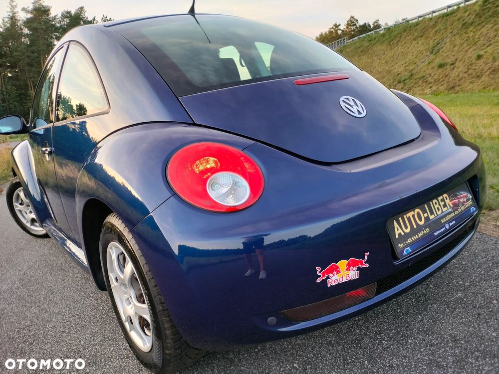 Volkswagen New Beetle - 13