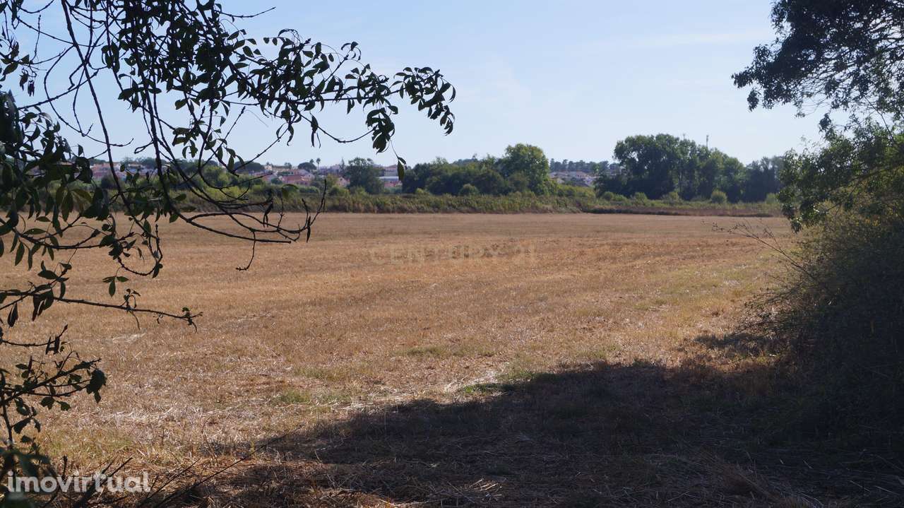 Terreno Agrícola à Venda – Brescos - Grande imagem: 2/30