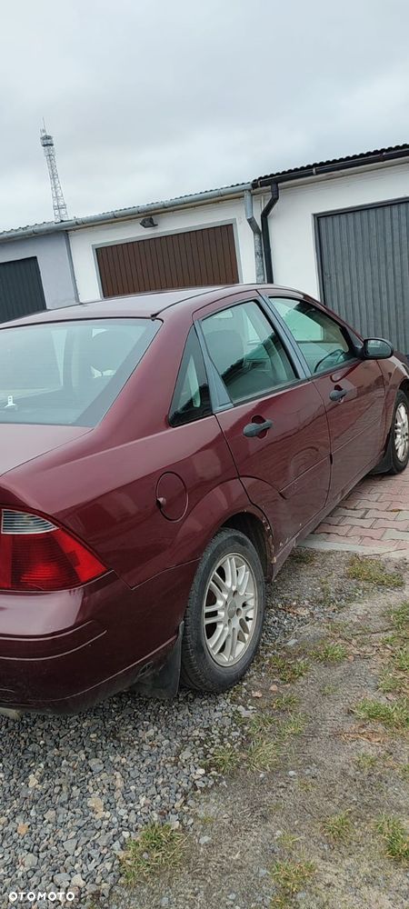 Ford Focus - 7
