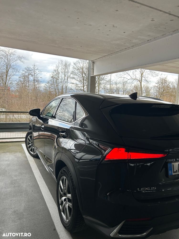 Lexus Seria NX - 12