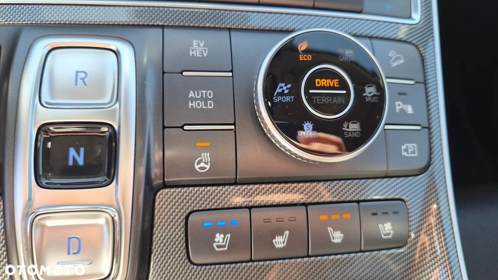 Hyundai Santa Fe - 31