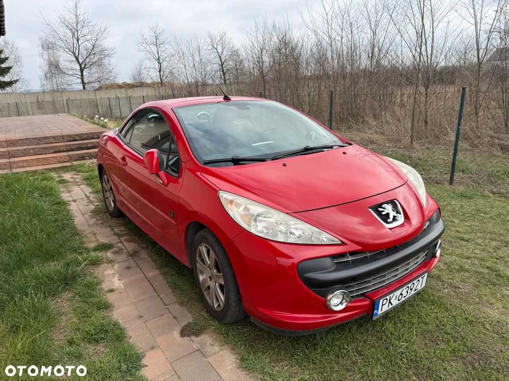 Peugeot 207 - 5