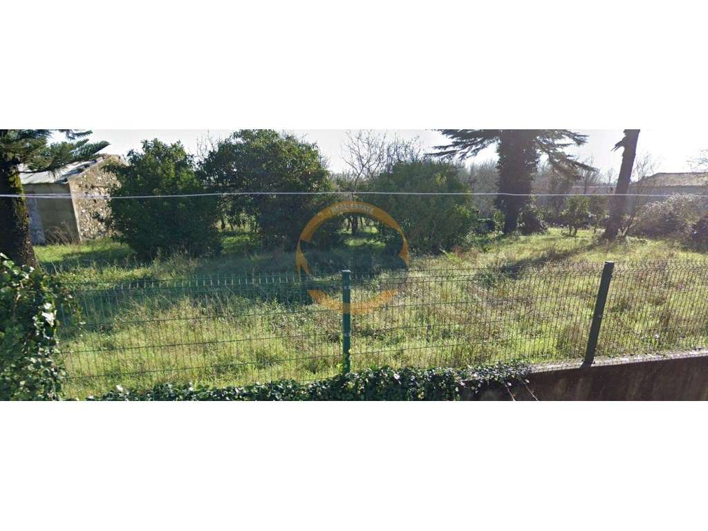 Terreno Urbano Anadia Aveiro - Grande imagem: 2/3