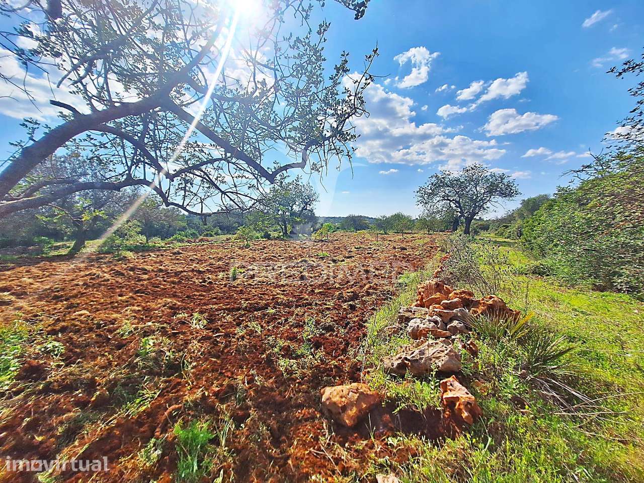 Terreno Rustico em Loulé próximo da Fábrica da Cimpor - Grande imagem: 3/11