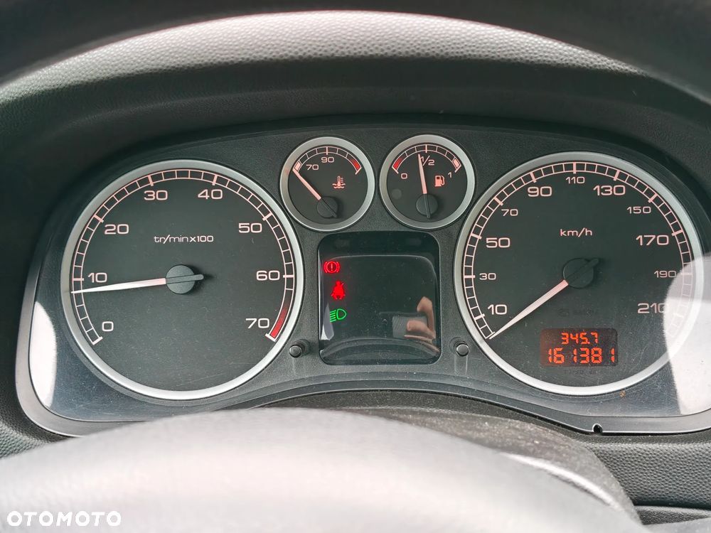 Peugeot 307 1.6 XS - 11