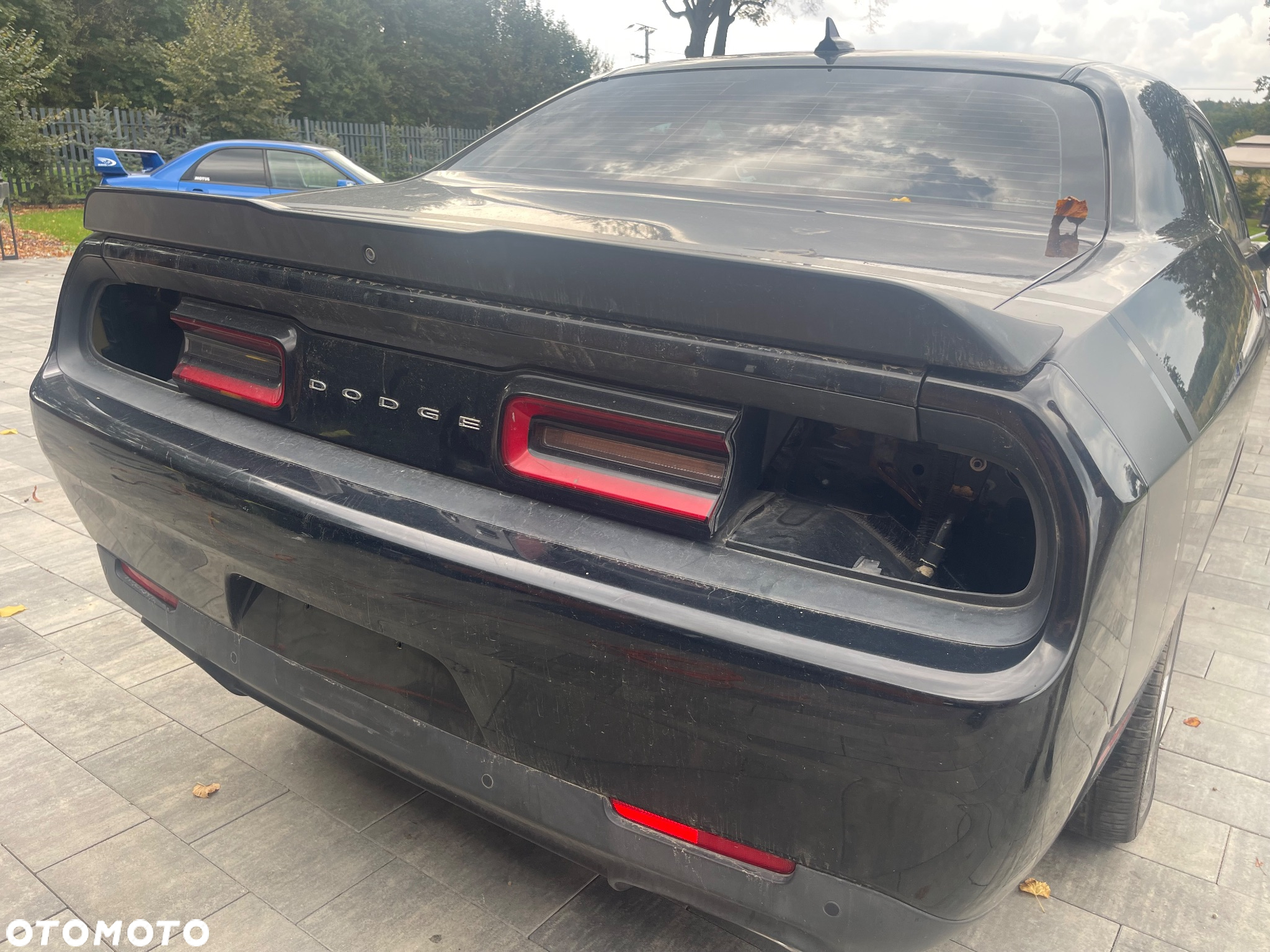Dodge Challenger Automatik 392 Hemi Scat Pack Shaker - 36