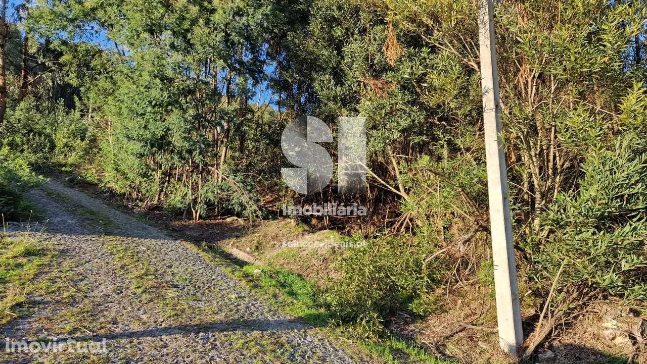 Terreno T0 - Grande imagem: 3/31