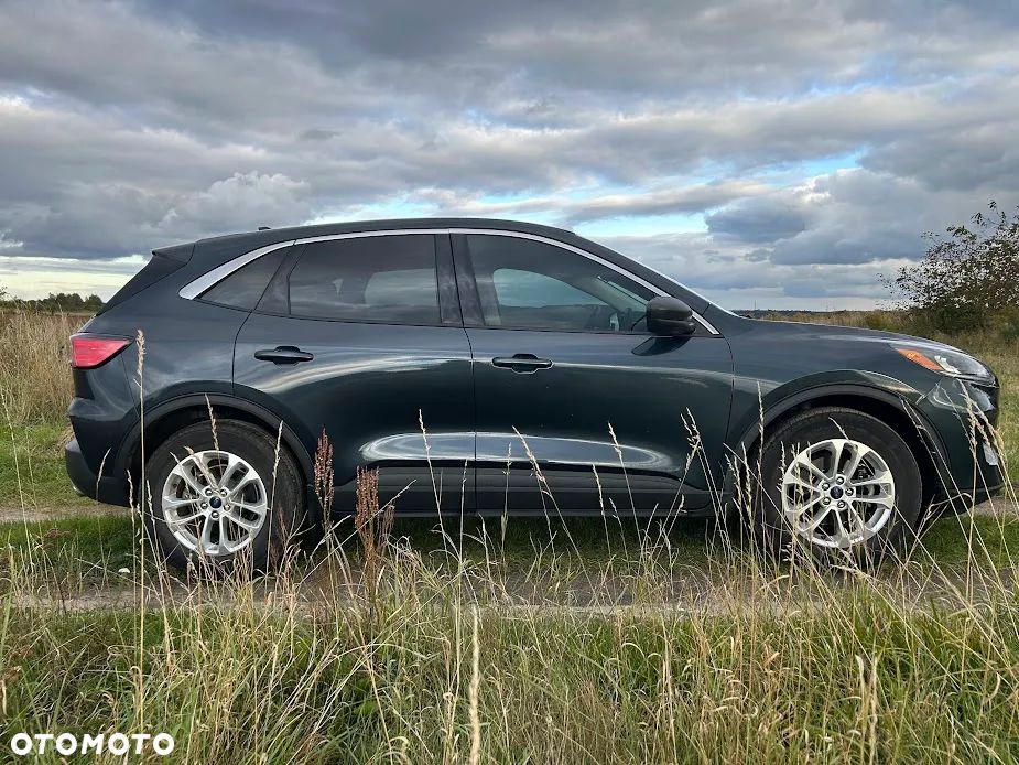 Ford Escape - 18
