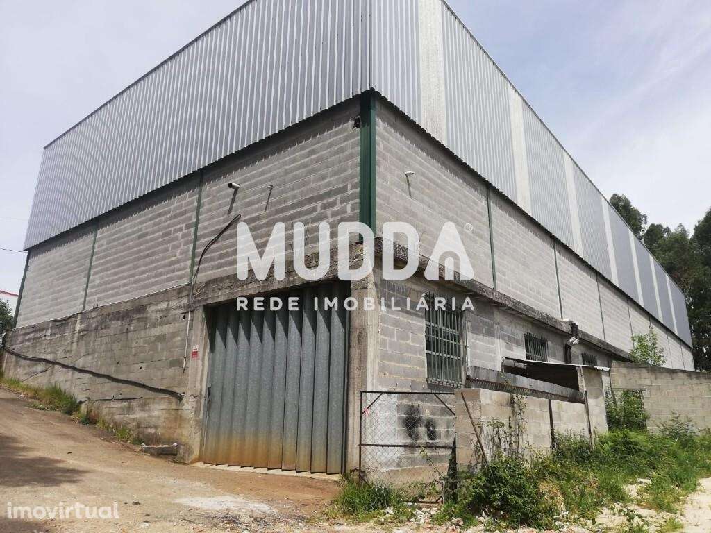 Pavilhão, Sever do Vouga - Grande imagem: 5/5