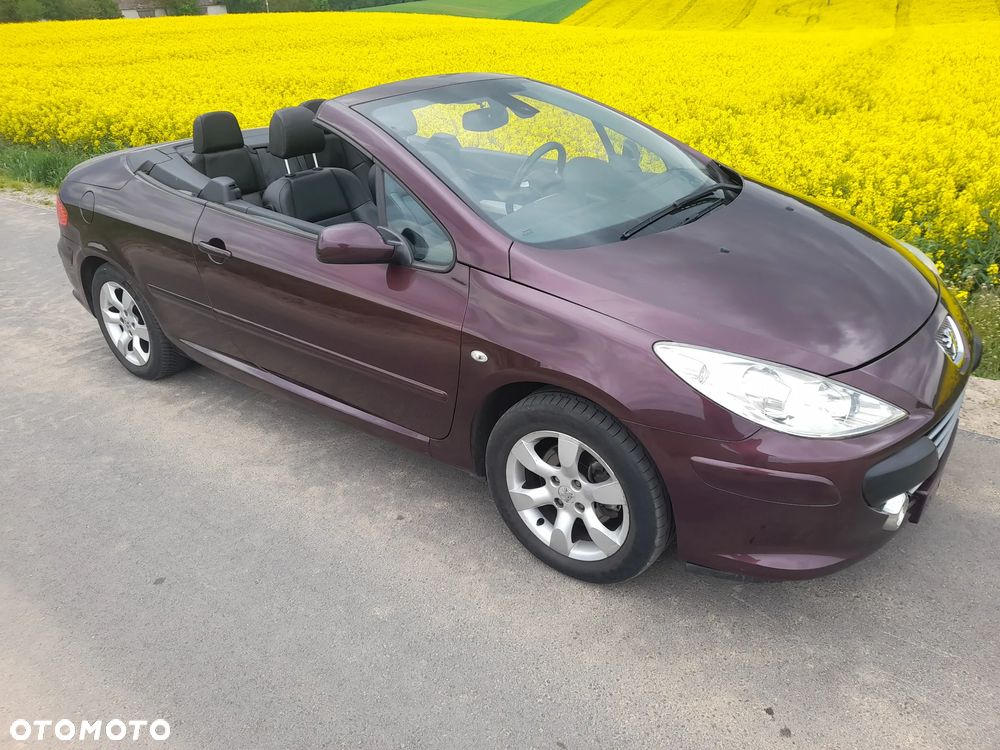 Peugeot 307 CC - 17