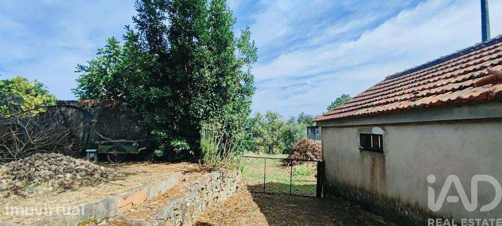 Quinta T3 em Cornes de 138 m2 - Grande imagem: 2/24