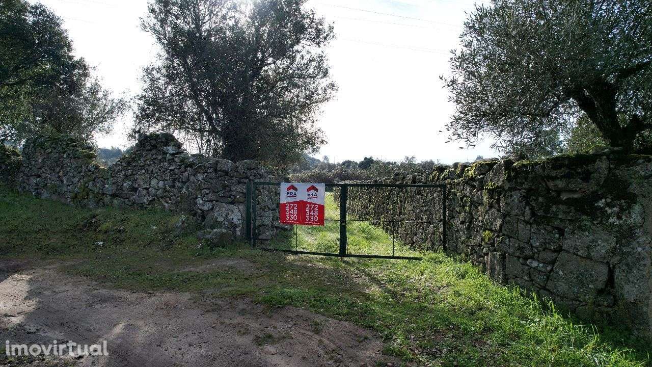 Quintinha - Grande imagem: 2/60