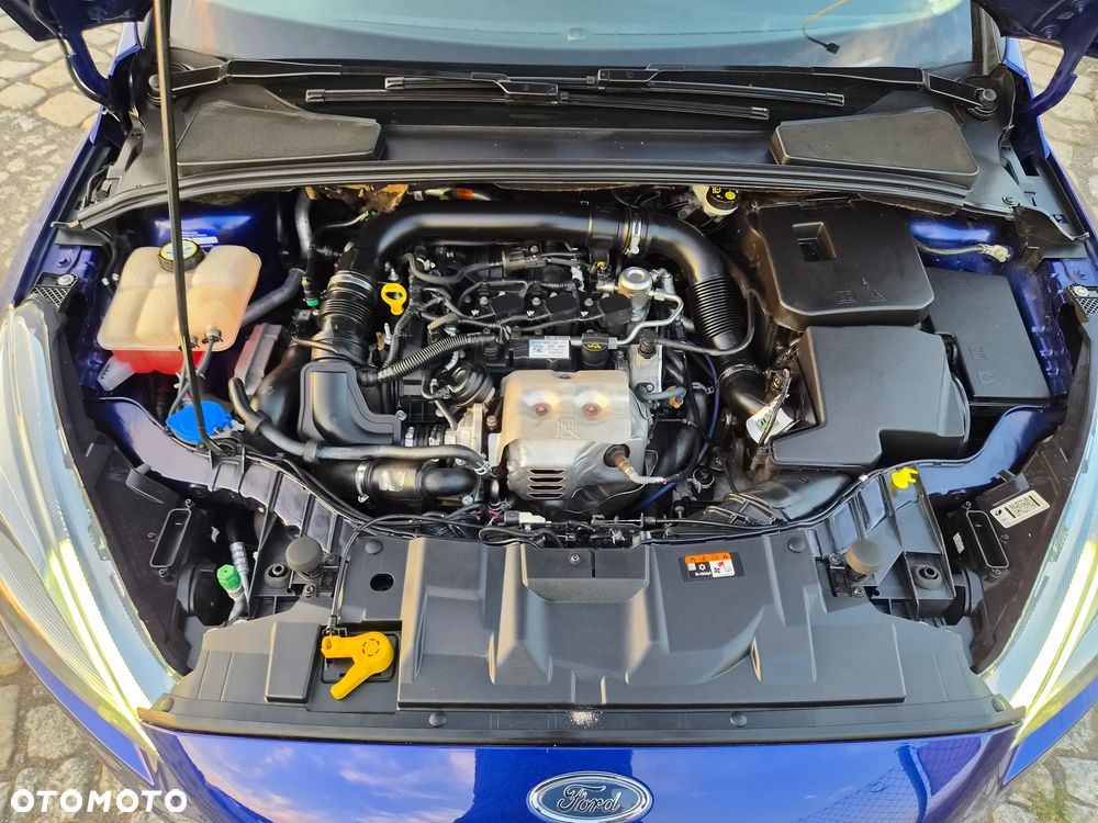 Ford Focus - 24