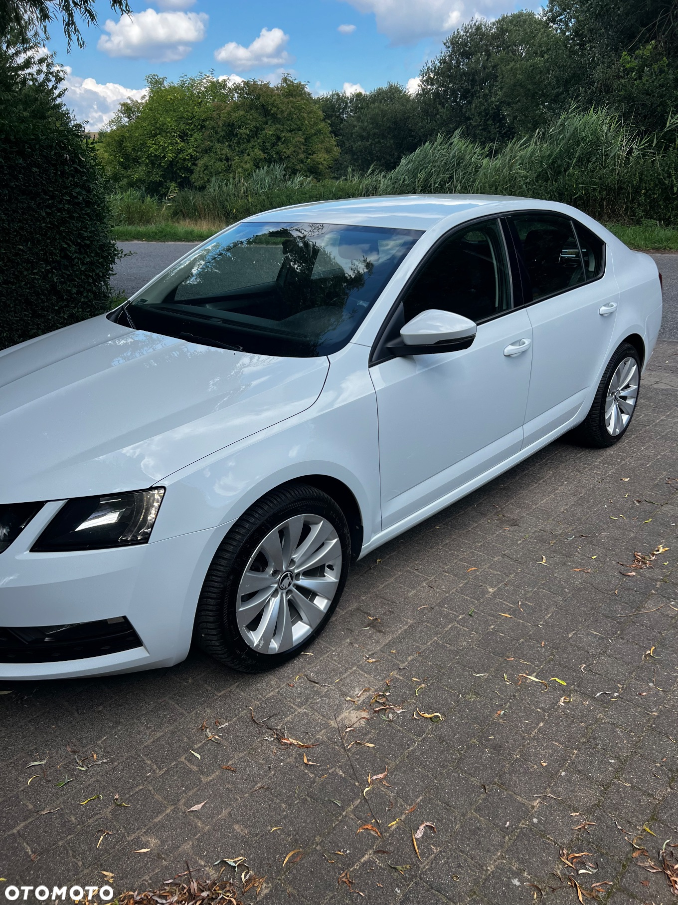 Skoda Octavia 1.0 TSI Ambition DSG - 2