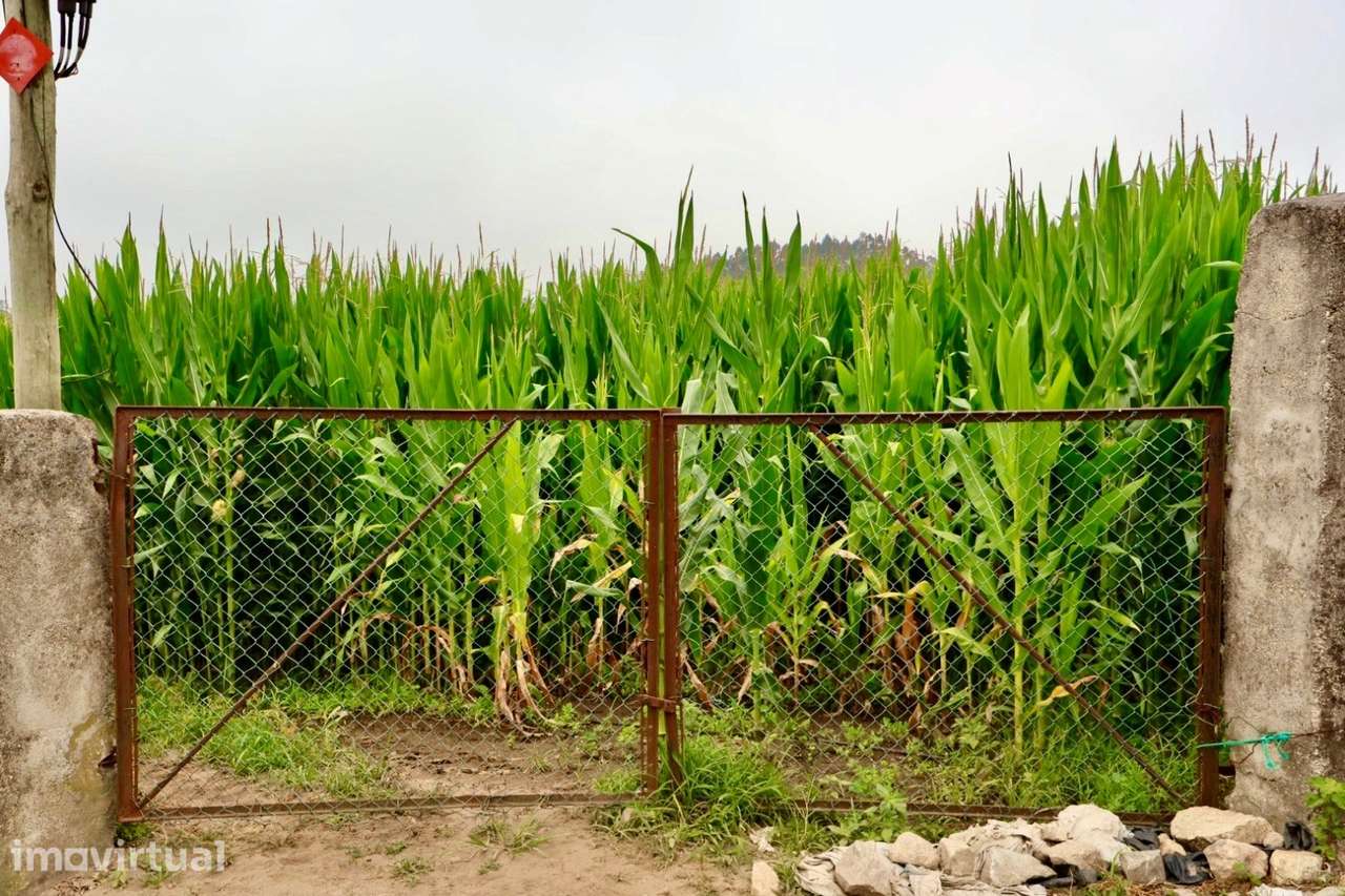 Terreno Urbano  Venda em Malta e Canidelo,Vila do Conde - Grande imagem: 5/7