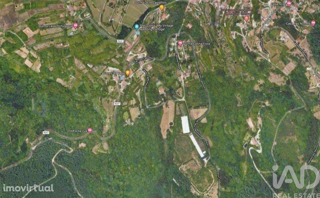 Terreno em Colares de 11640,00 m2 - Grande imagem: 5/7