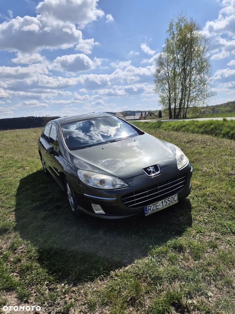 Peugeot 407 HDi 110 Esplanade - 7