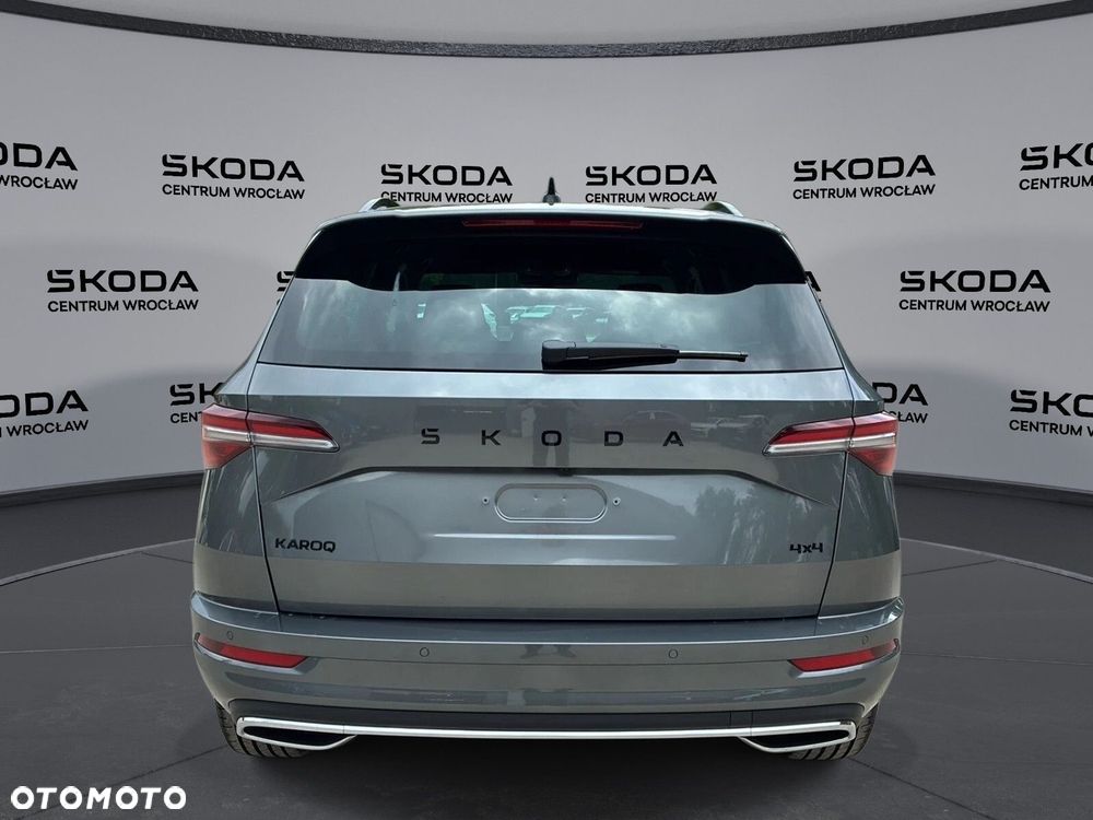 Skoda Karoq - 10
