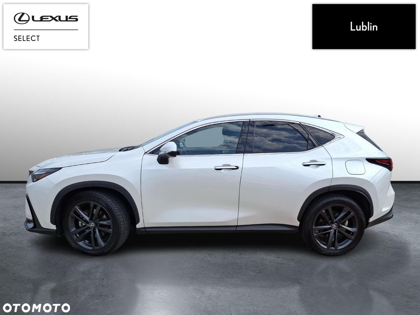 Lexus NX 350h Prestige AWD - 2
