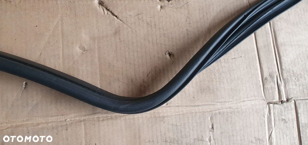 Uszczelka drzwi prawy przód przednia prawa Ford Kuga MK1 - 5