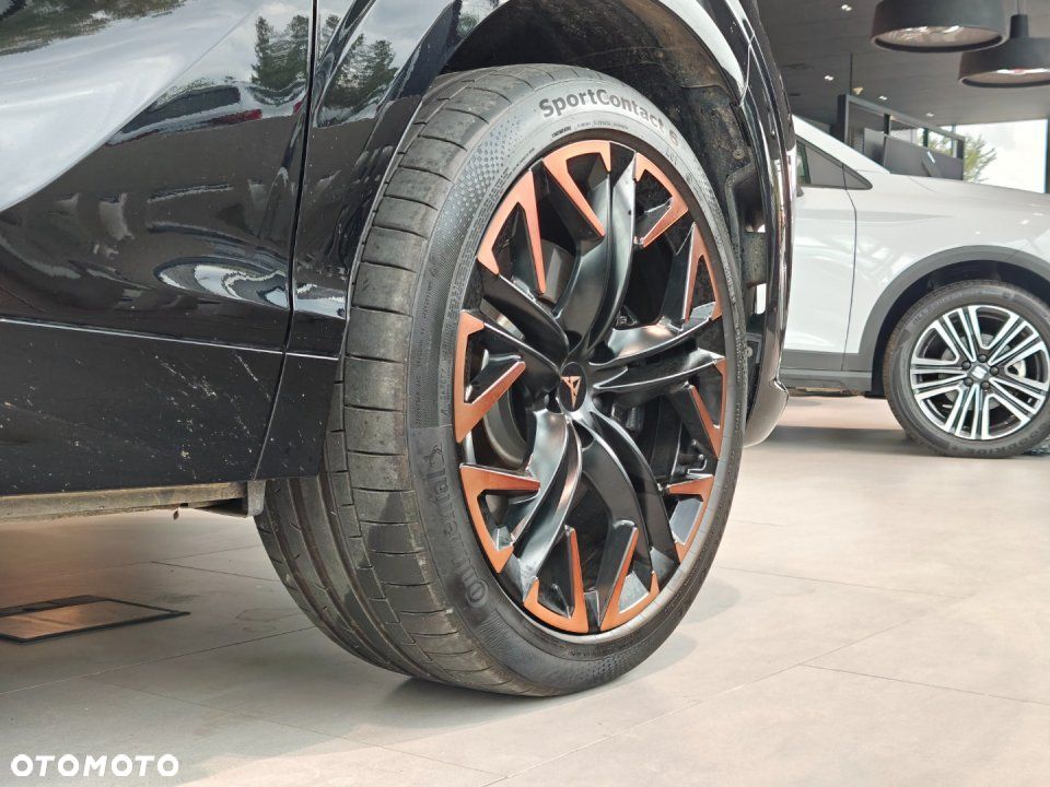 Cupra Terramar - 7