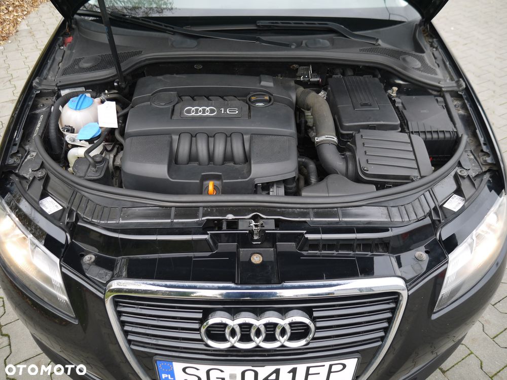 Audi A3 Sportback 1.6 Ambition - 13