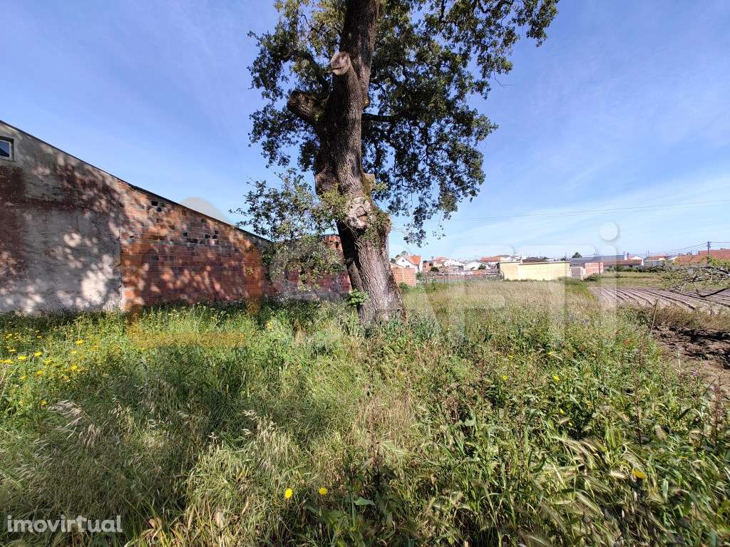Terreno em Leiria ( Maceira) - Grande imagem: 5/7