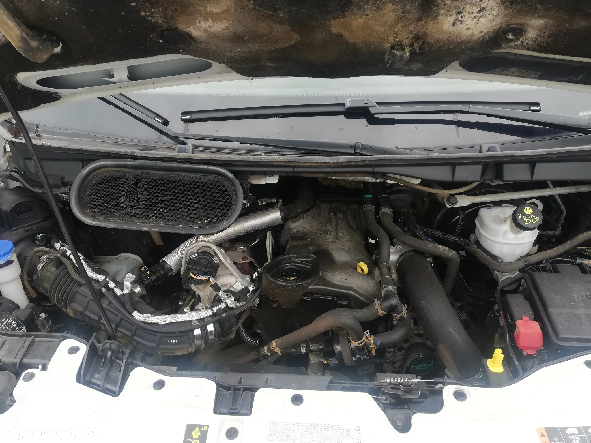 Ford Transit-Jumbo - 19