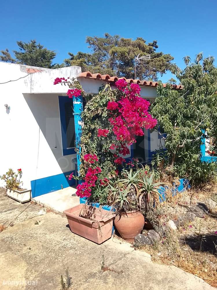 Moradia T2 com Quintal, Terraço e Churrasqueira em Vila Nova de Mil... - Grande imagem: 2/17