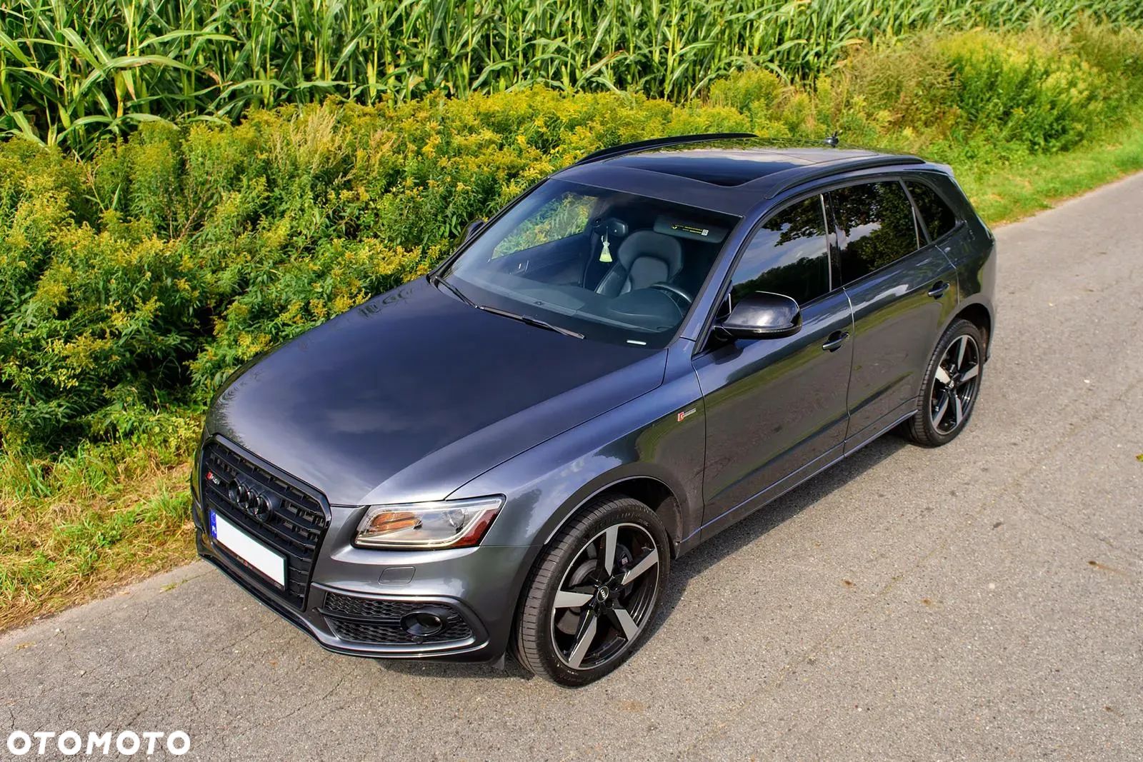 Audi SQ5 3.0 TFSI Quattro Tiptronic - 1
