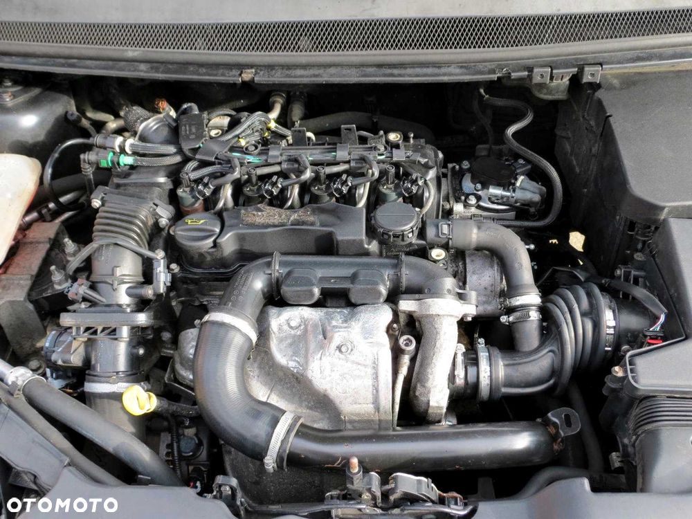 Ford Focus - 8