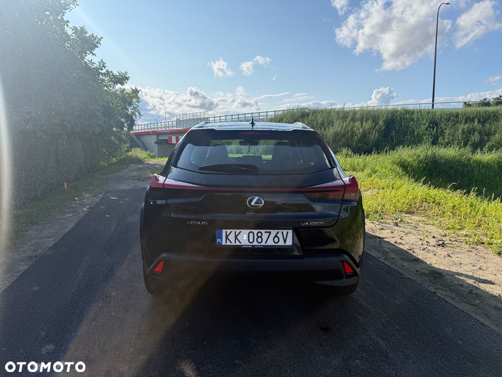 Lexus UX 250h Elegance 2WD - 7