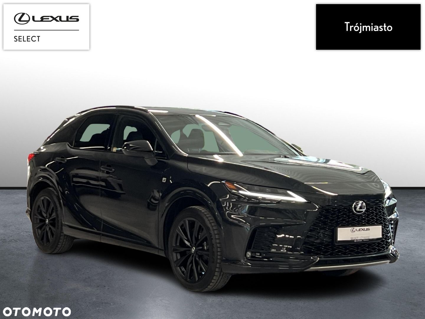 Lexus RX - 3