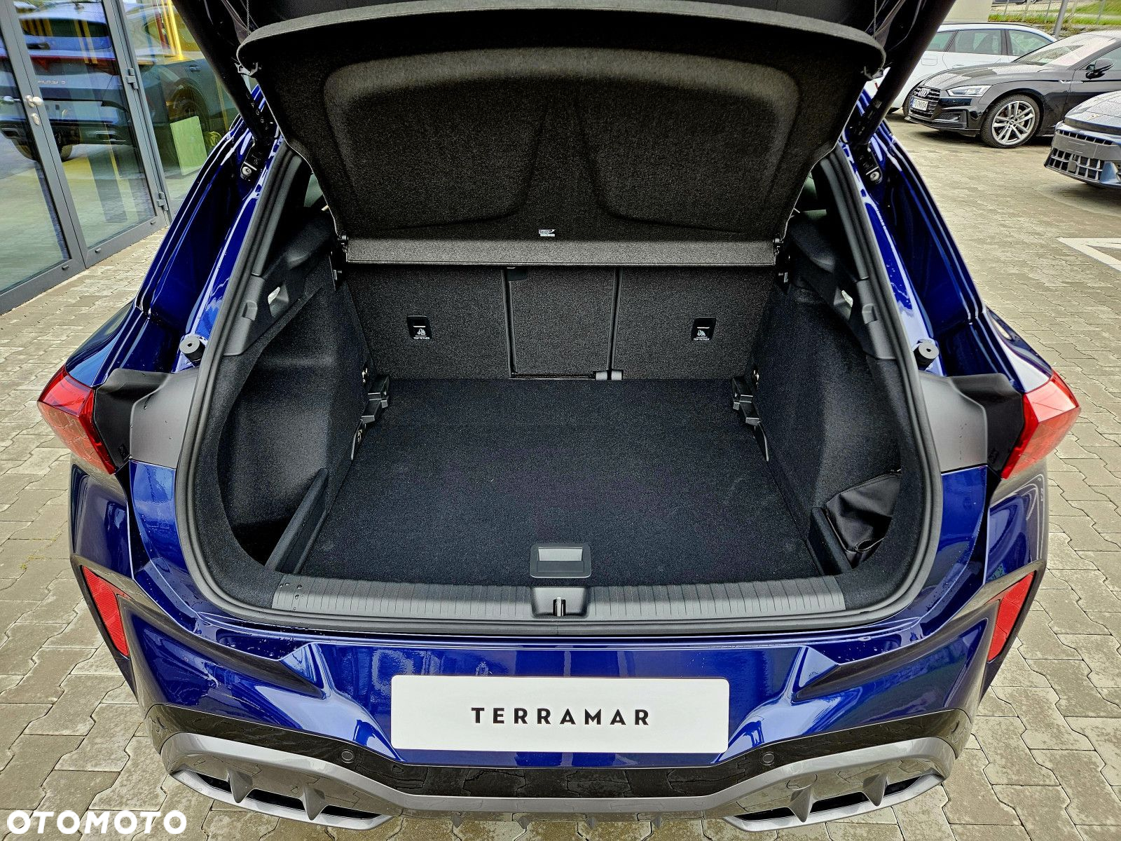Cupra Terramar - 6