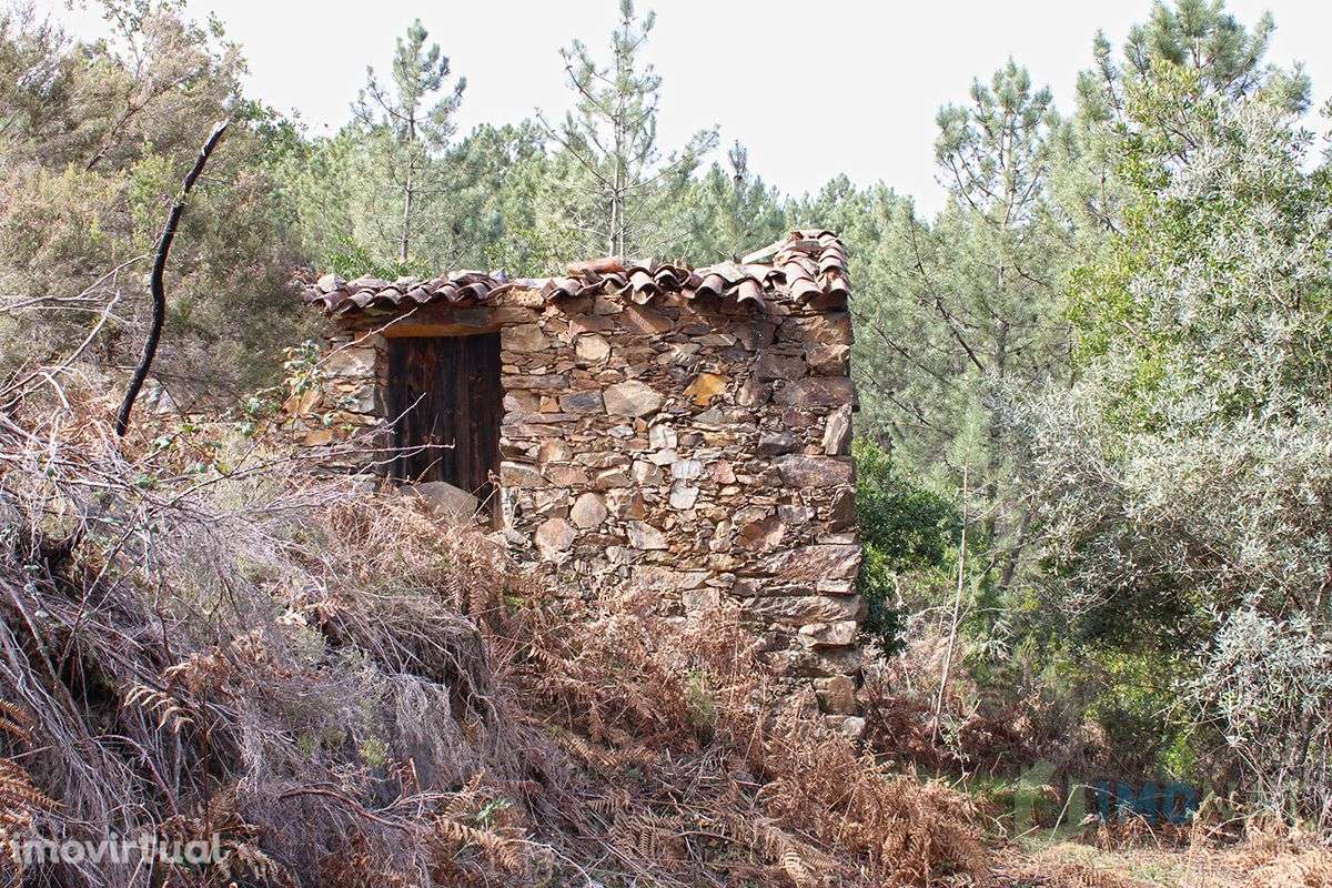 Imóvel Rural - Grande imagem: 2/36