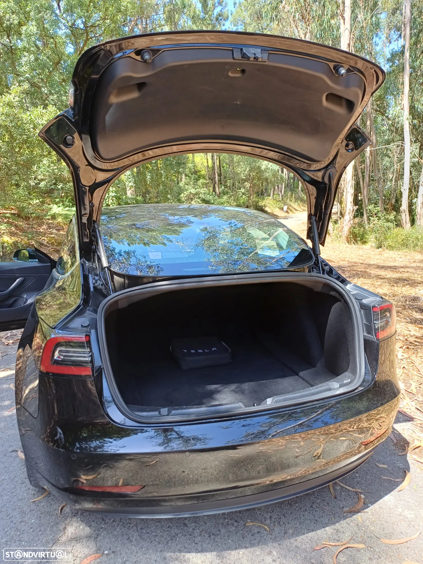 Tesla Model 3 Long Range AWD Dual Motor - 25