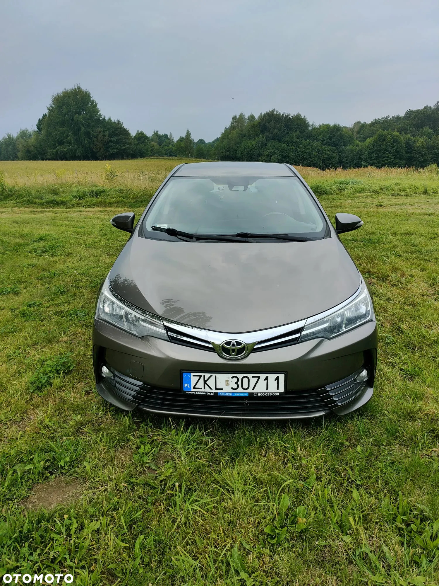 Toyota Corolla - 5